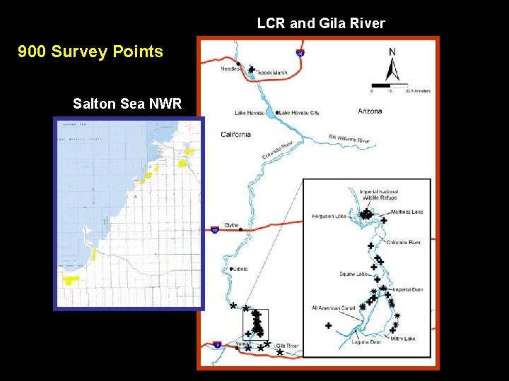 LCR and Gila River 900 Survey Points Salton Sea NWR ** * 