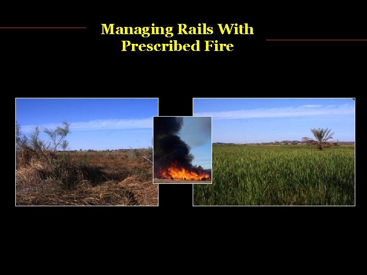 Managing Rails With Prescribed Fire 
