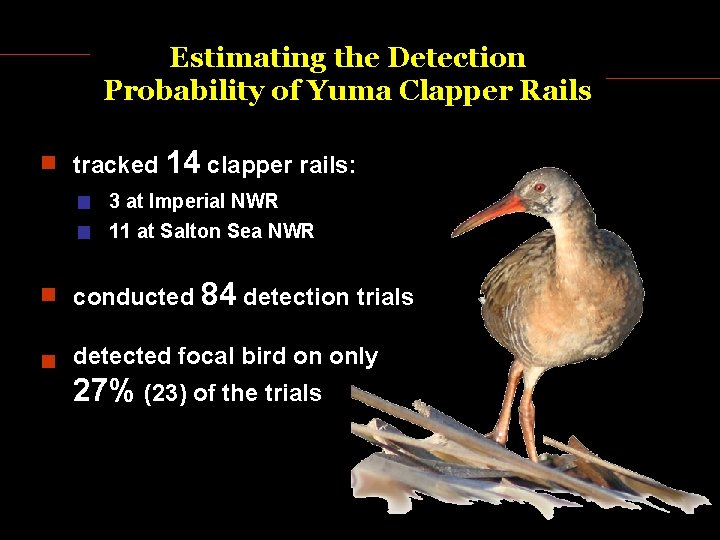 Estimating the Detection Probability of Yuma Clapper Rails tracked 14 clapper rails: 3 at