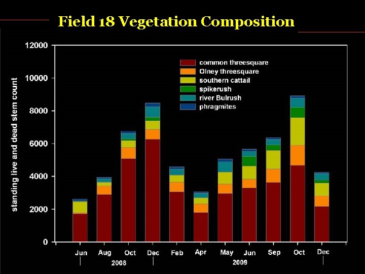 Field 18 Vegetation Composition 