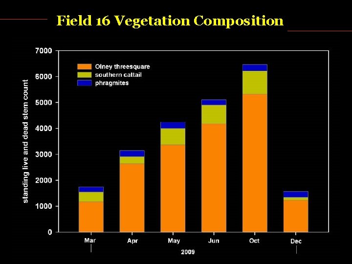 Field 16 Vegetation Composition 