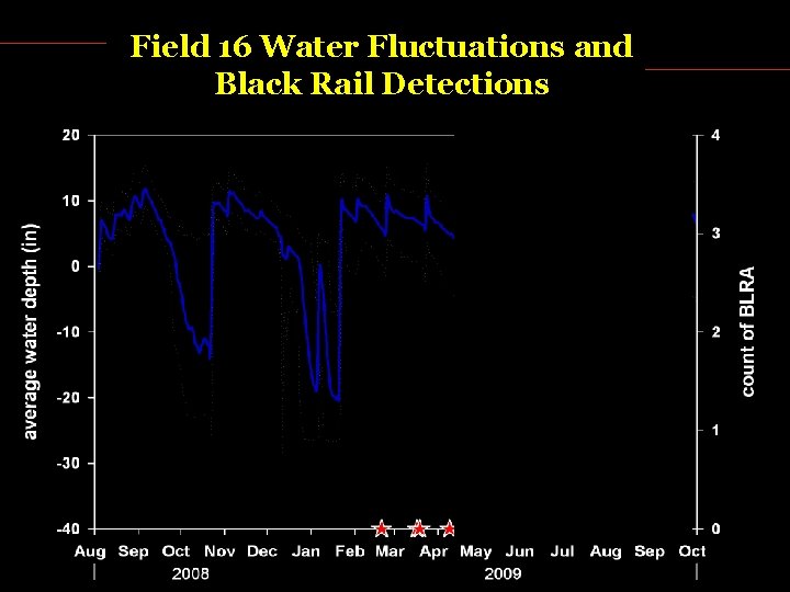 Field 16 Water Fluctuations and Black Rail Detections 