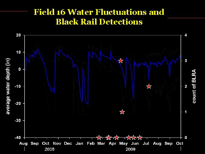 Field 16 Water Fluctuations and Black Rail Detections 