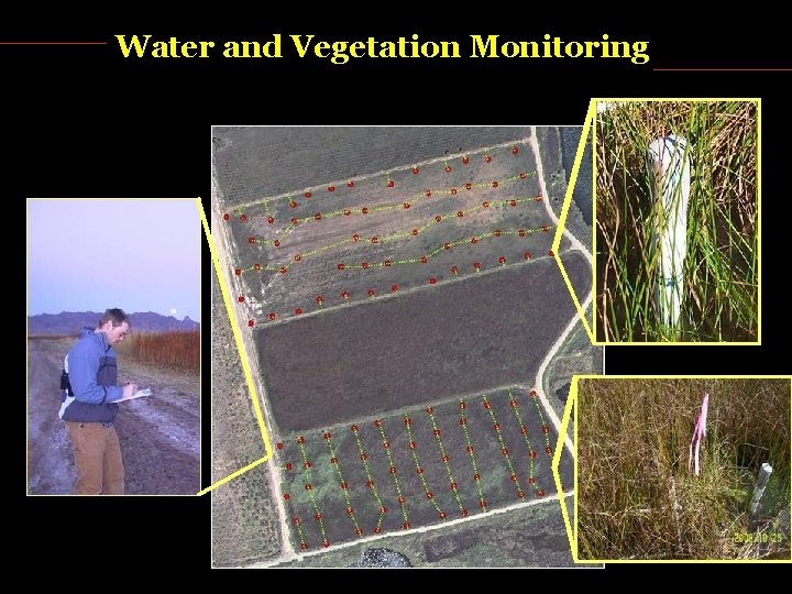 Water and Vegetation Monitoring 