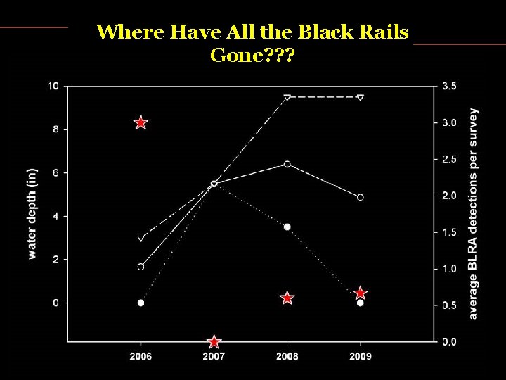 Where Have All the Black Rails Gone? ? ? 