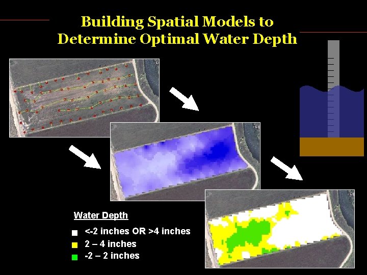 Building Spatial Models to Determine Optimal Water Depth <-2 inches OR >4 inches 2