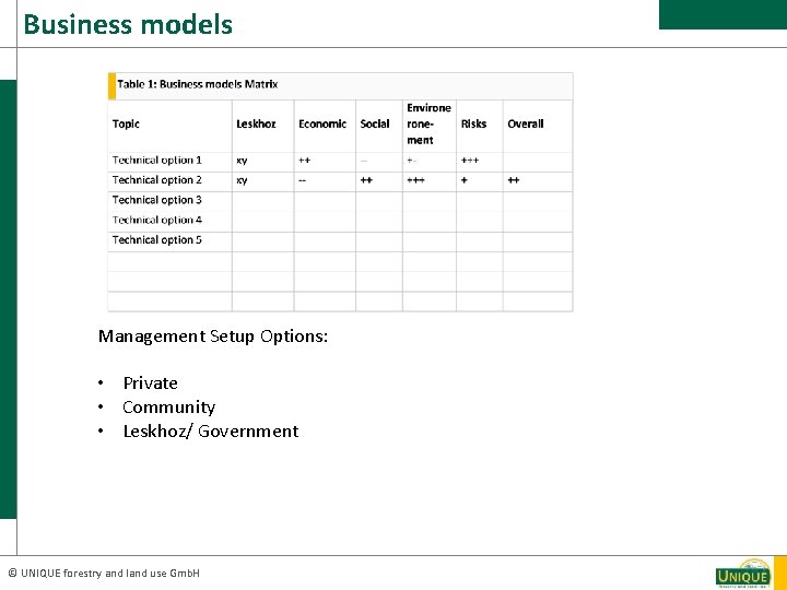 Business models Management Setup Options: • Private • Community • Leskhoz/ Government © UNIQUE