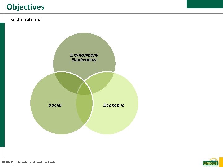 Objectives Sustainability Environment/ Biodiversity Social © UNIQUE forestry and land use Gmb. H Economic