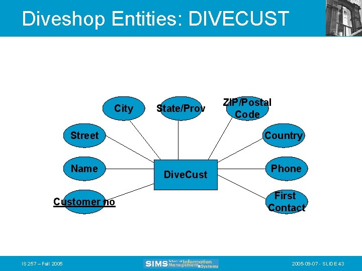 Diveshop Entities: DIVECUST City State/Prov Street Name Customer no IS 257 – Fall 2005