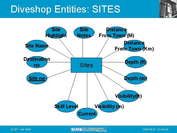 Diveshop Entities: SITES Site Highlight Site Notes Distance From Town (Km) Site Name Destination