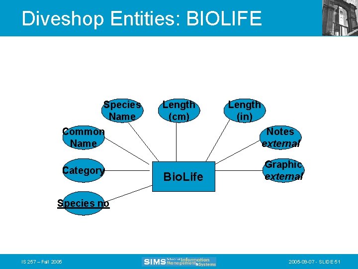 Diveshop Entities: BIOLIFE Species Name Length (cm) Length (in) Common Name Notes external Category