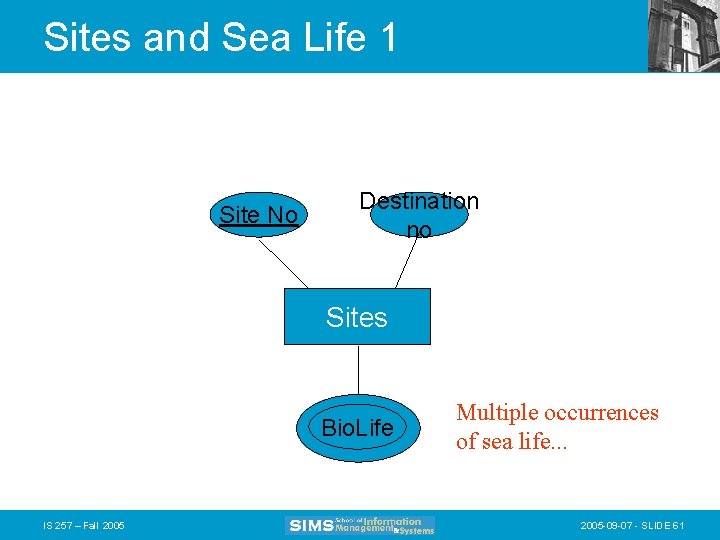 Sites and Sea Life 1 Site No Destination no Sites Bio. Life IS 257