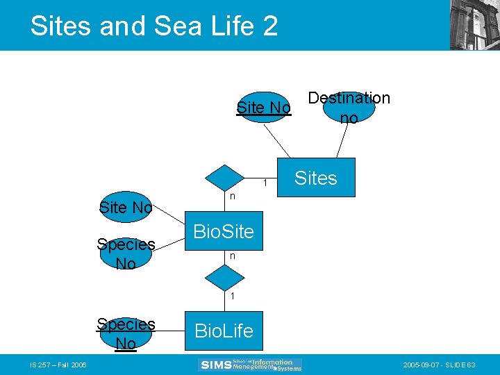 Sites and Sea Life 2 Site No 1 Site No Species No Destination no
