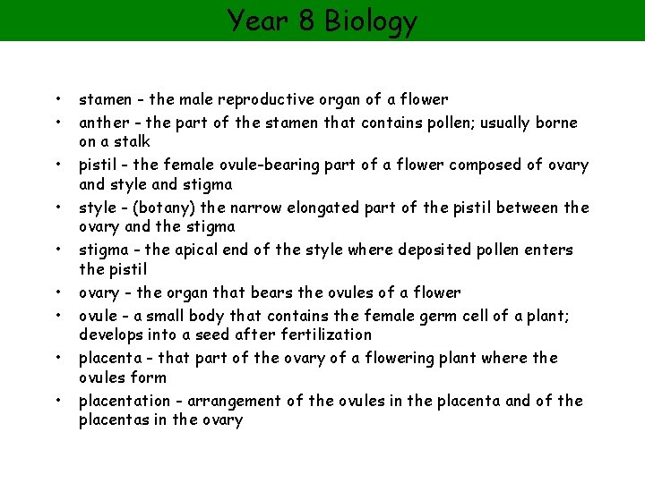 Year 8 Biology • • • stamen - the male reproductive organ of a