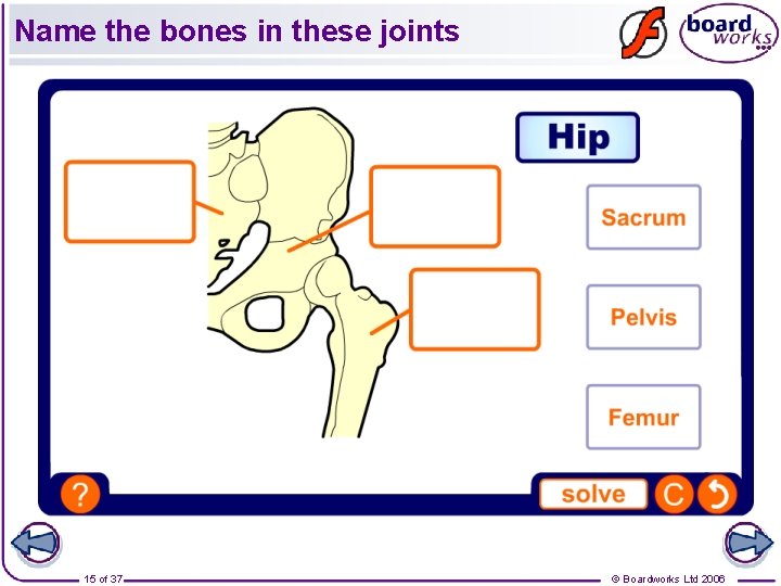 Name the bones in these joints 15 of 37 © Boardworks Ltd 2006 