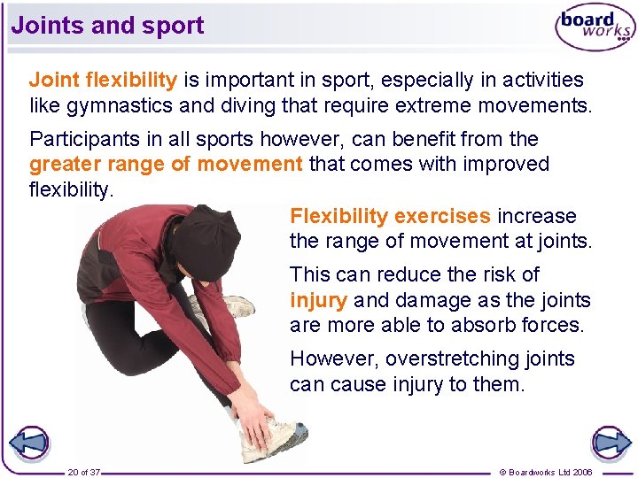 Joints and sport Joint flexibility is important in sport, especially in activities like gymnastics