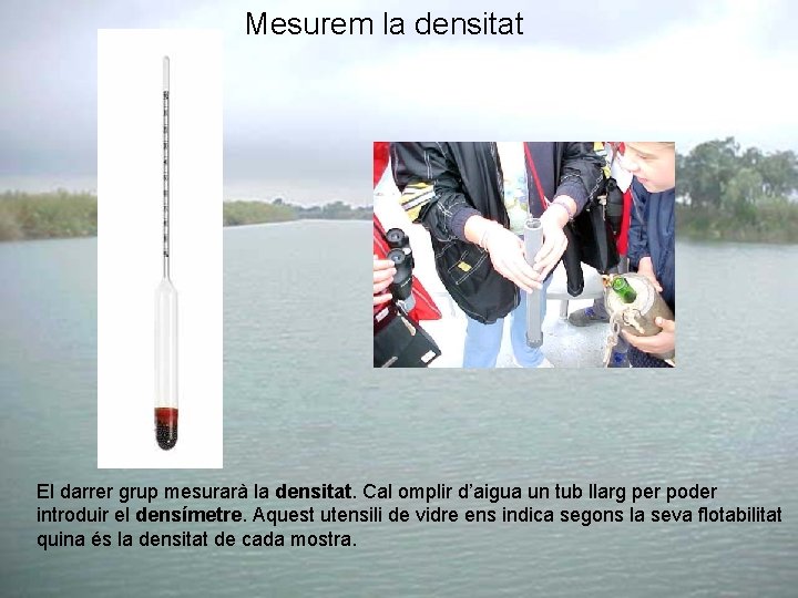 Mesurem la densitat El darrer grup mesurarà la densitat. Cal omplir d’aigua un tub