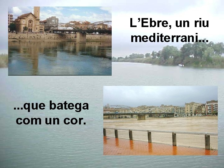 L’Ebre, un riu mediterrani. . . que batega com un cor. 