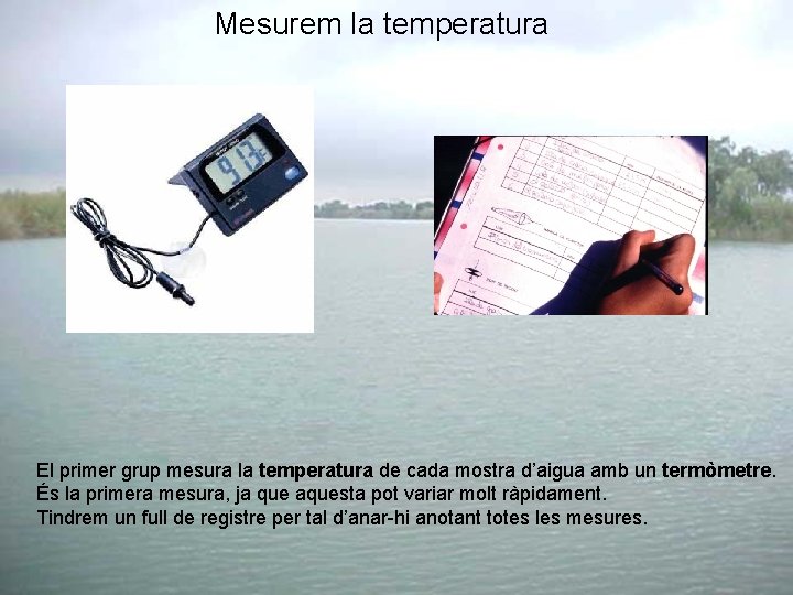 Mesurem la temperatura El primer grup mesura la temperatura de cada mostra d’aigua amb