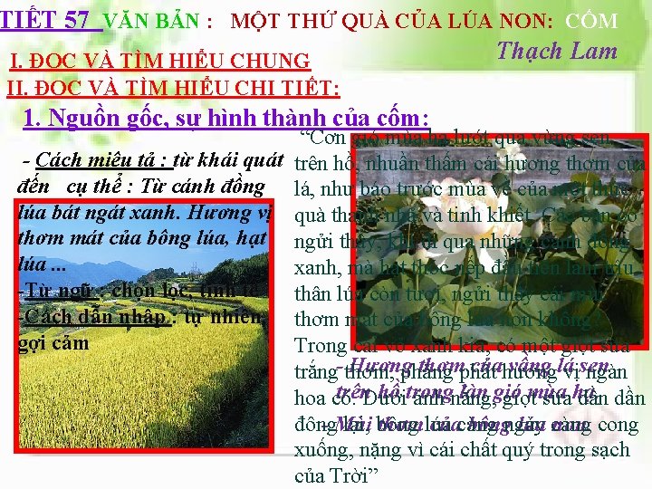 TIẾT 57 VĂN BẢN : MỘT THỨ QUÀ CỦA LÚA NON: CỐM Thạch Lam