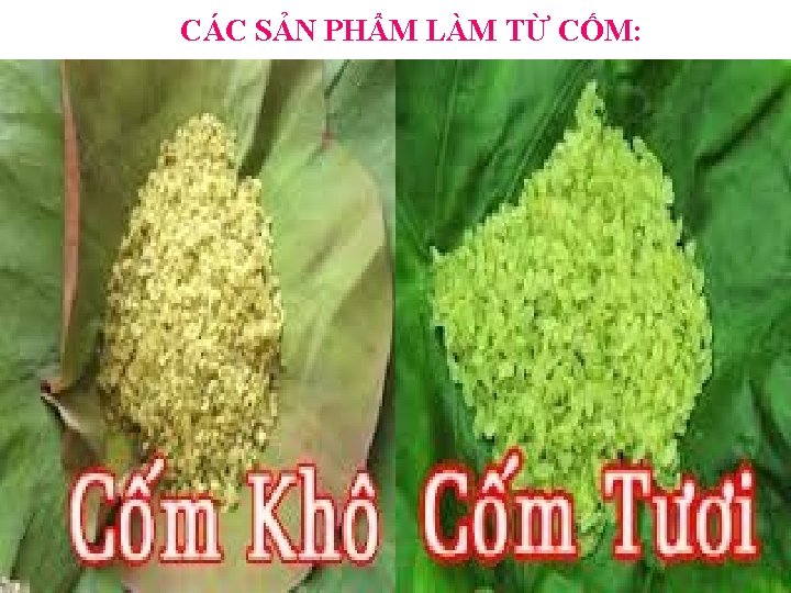 CÁC SẢN PHẨM LÀM TỪ CỐM: 