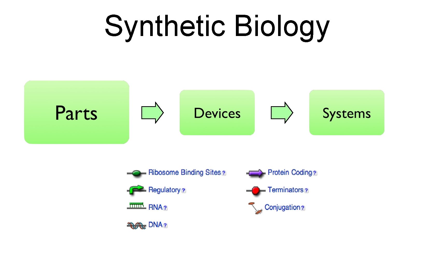 Synthetic Biology partsregistry. org 