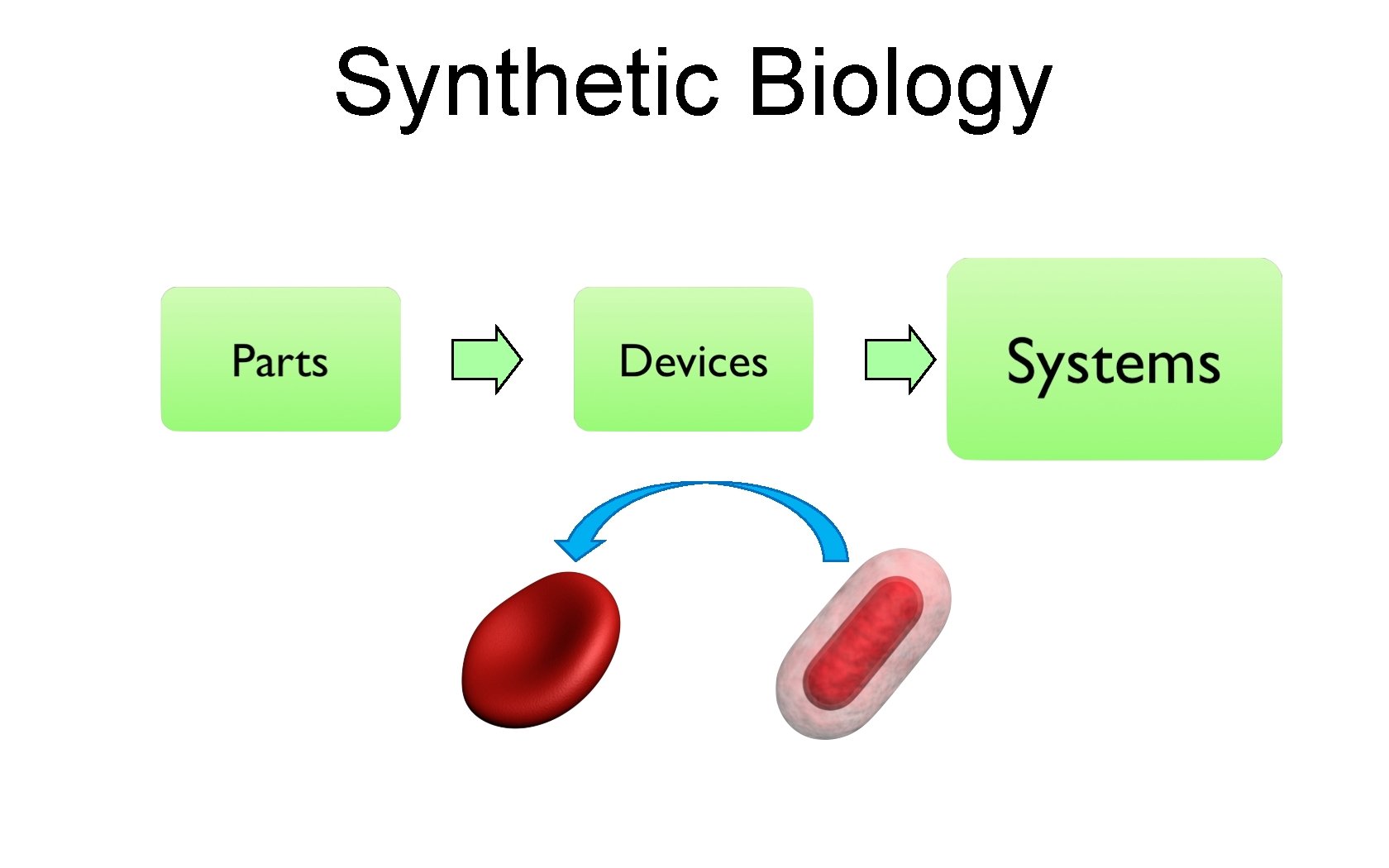 Synthetic Biology UC Berkeley i. GEM, 2007 