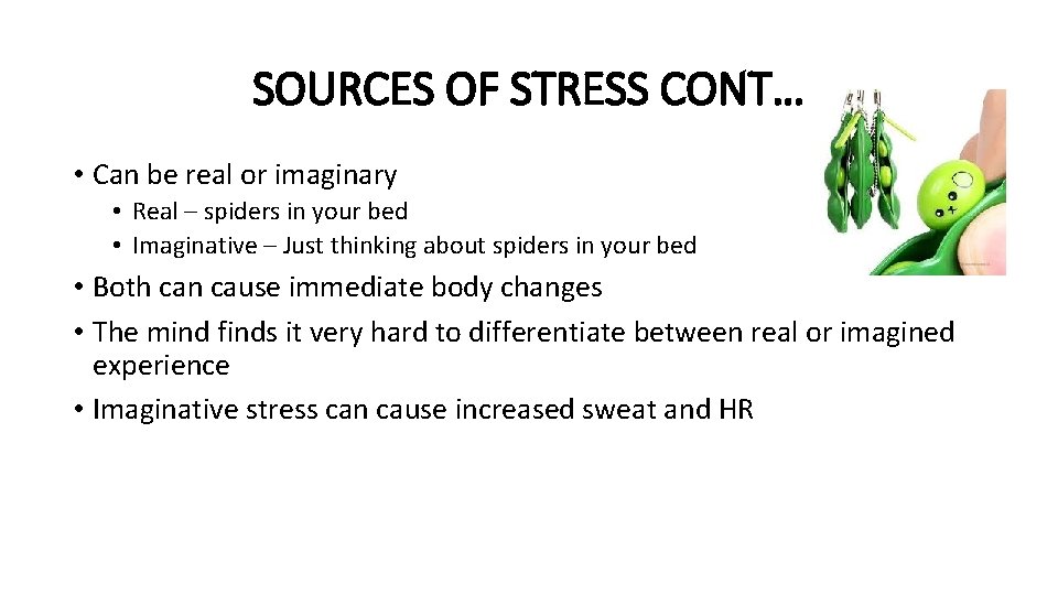 SOURCES OF STRESS CONT… • Can be real or imaginary • Real – spiders
