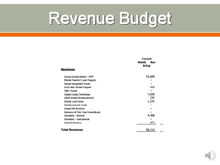 Revenue Budget 