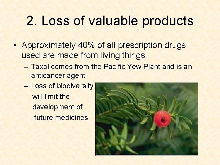 2. Loss of valuable products • Approximately 40% of all prescription drugs used are