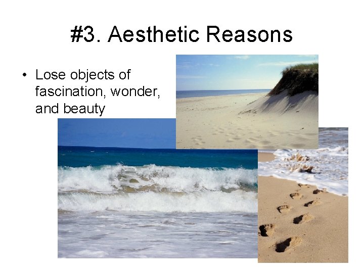 #3. Aesthetic Reasons • Lose objects of fascination, wonder, and beauty 