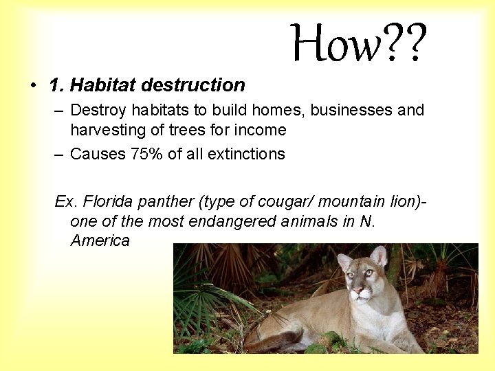  • 1. Habitat destruction How? ? – Destroy habitats to build homes, businesses