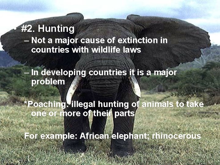  • #2. Hunting – Not a major cause of extinction in countries with