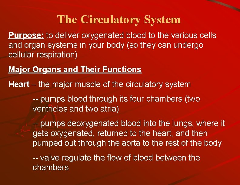 The Circulatory System Purpose: to deliver oxygenated blood to the various cells and organ