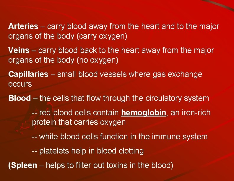 Arteries – carry blood away from the heart and to the major organs of