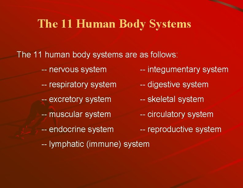 The 11 Human Body Systems The 11 human body systems are as follows: --