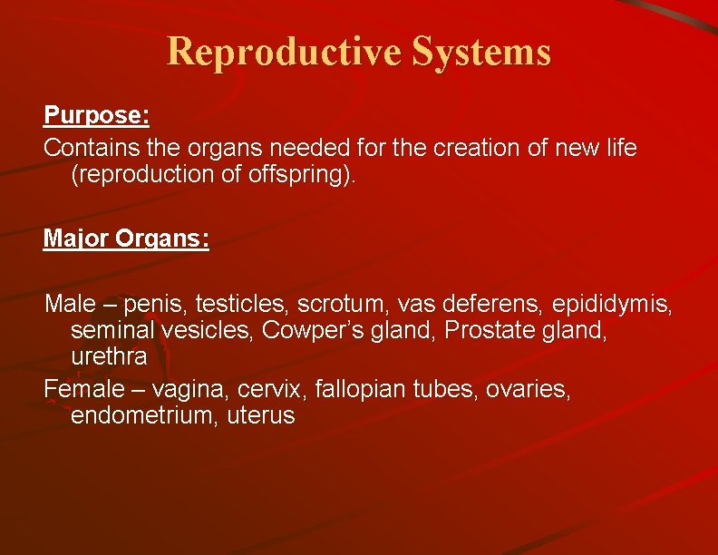 Reproductive Systems Purpose: Contains the organs needed for the creation of new life (reproduction