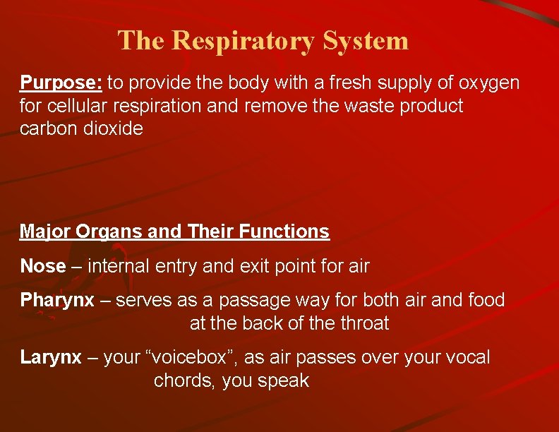 The Respiratory System Purpose: to provide the body with a fresh supply of oxygen
