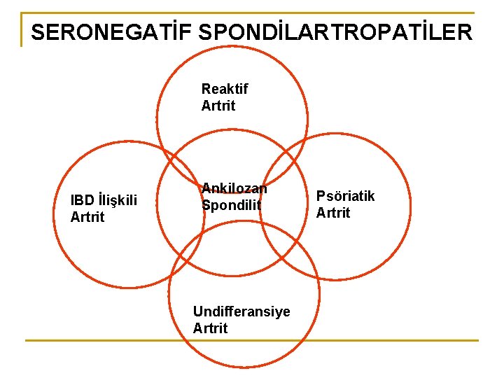 SERONEGATİF SPONDİLARTROPATİLER Reaktif Artrit IBD İlişkili Artrit Ankilozan Spondilit Undifferansiye Artrit Psöriatik Artrit 