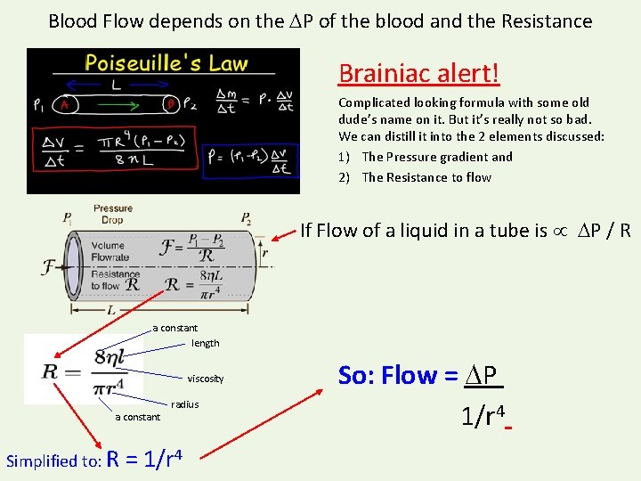 Blood Flow depends on the P of the blood and the Resistance Brainiac alert!