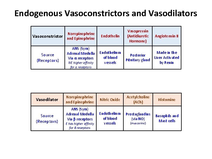 Endogenous Vasoconstrictors and Vasodilators Norepinephrine Vasoconstrictor and Epinephrine Source (Receptors) Vasodilator Source (Receptors) ANS