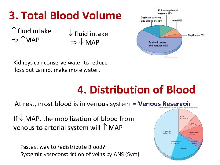 3. Total Blood Volume fluid intake => MAP fluid intake => MAP Kidneys can