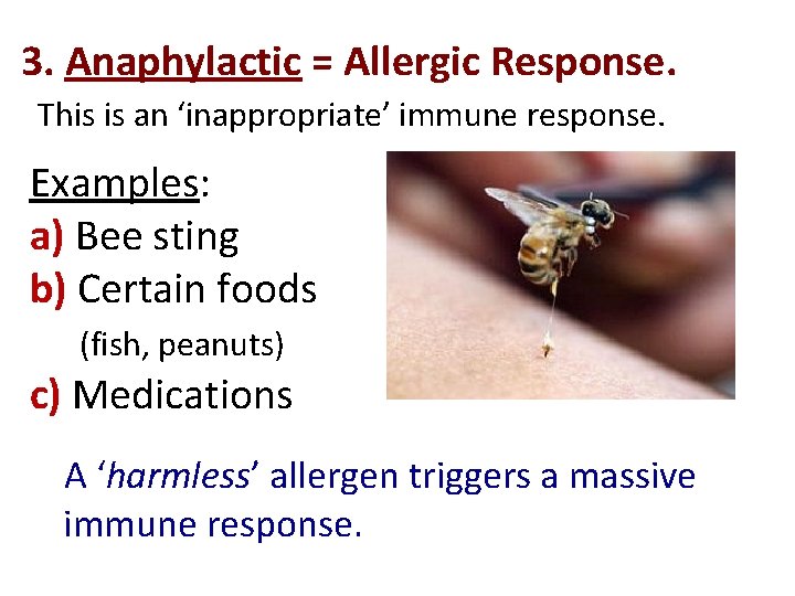 3. Anaphylactic = Allergic Response. This is an ‘inappropriate’ immune response. Examples: a) Bee