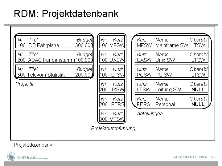 RDM: Projektdatenbank Nr Titel 100 DB Fahrpläne Budget 300. 000 Nr Kurz 100 MFSW