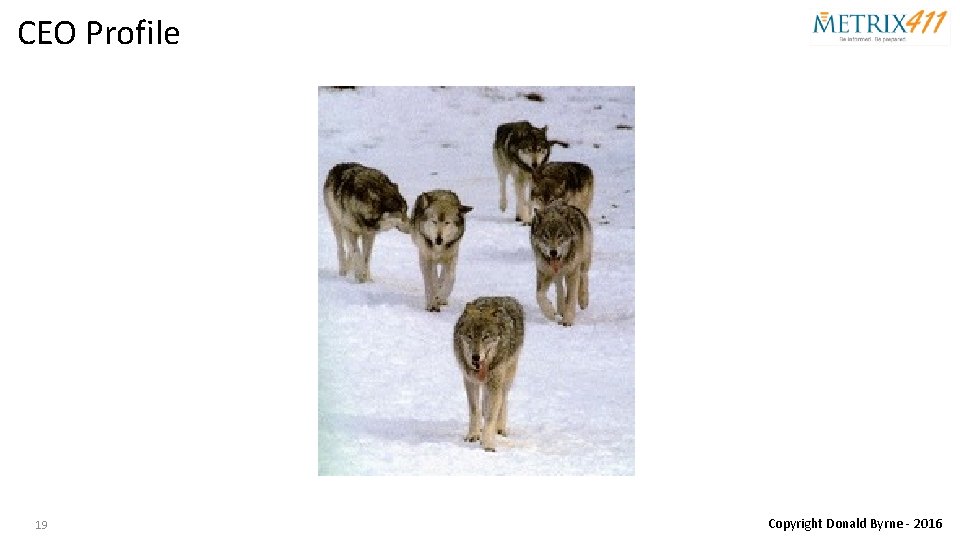 CEO Profile 19 Copyright Donald Byrne - 2016 