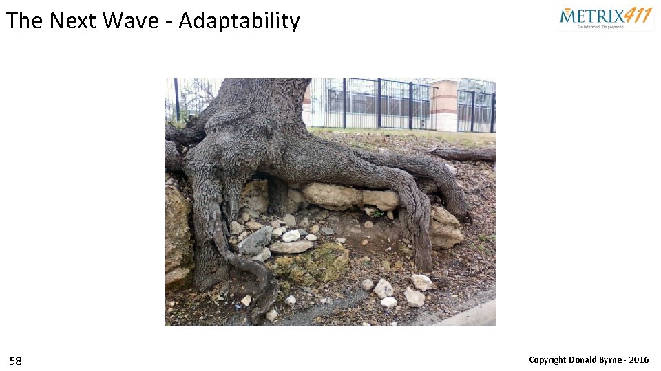 The Next Wave - Adaptability 58 Copyright Donald Byrne - 2016 