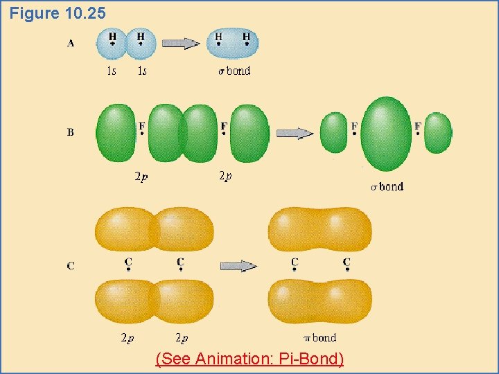 Figure 10. 25 (See Animation: Pi-Bond) 