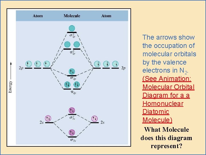 The arrows show the occupation of molecular orbitals by the valence electrons in N