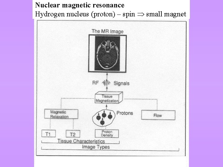 Nuclear magnetic resonance Hydrogen nucleus (proton) – spin small magnet 