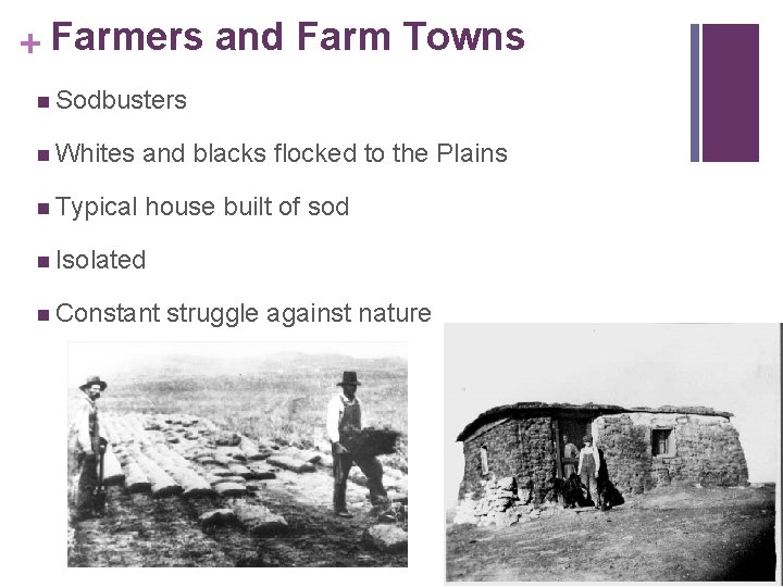 + Farmers and Farm Towns n Sodbusters n Whites and blacks flocked to the